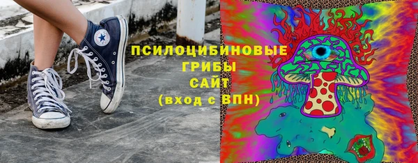 spice Лабытнанги