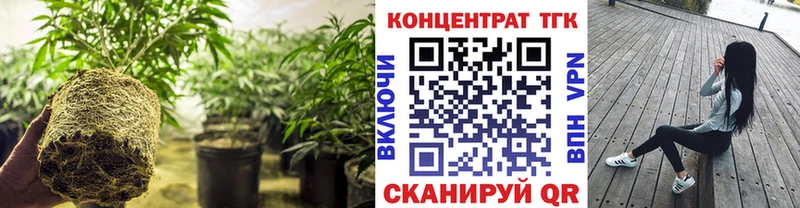 Дистиллят ТГК Wax  Назрань 