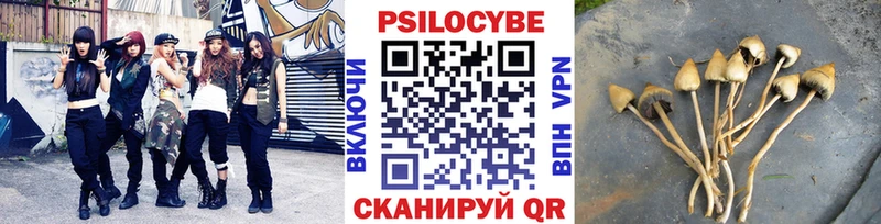 Псилоцибиновые грибы Cubensis  наркота  Назрань 